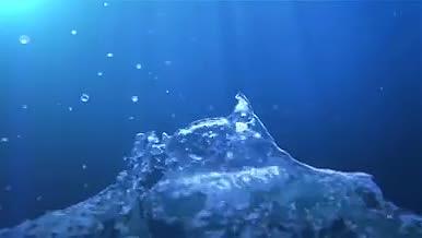 梦幻大气海底水波流体鲸鱼游动特效AE模板视频的预览图